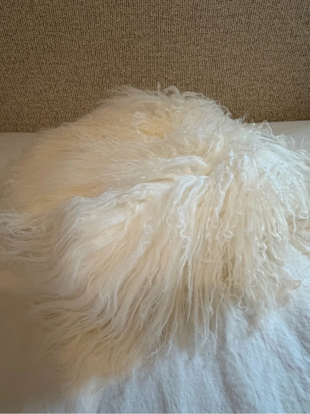 Quince Luxe Mongolian Lamb Pillow Cover 20x20